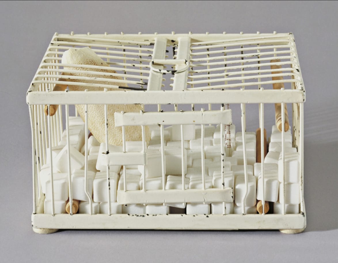 Why Not Sneeze Rose Sélavy — Marcel Duchamp Original Readymade, 1919